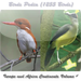 Birds Pedia Vol4 (Europe & Africa Contenents)